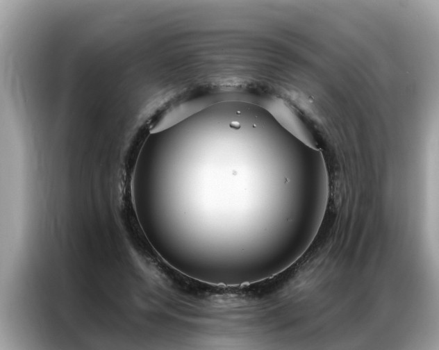 X0000087370544200704271457