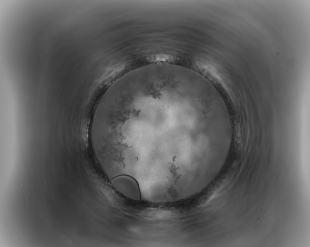 X0000087370545200704271457