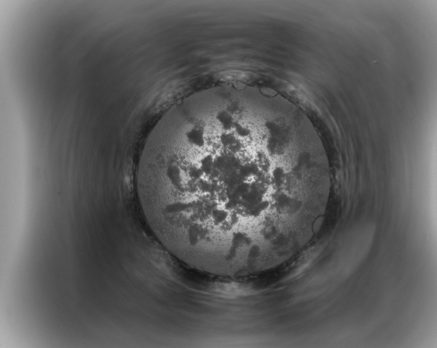 X0000087370561200704271457