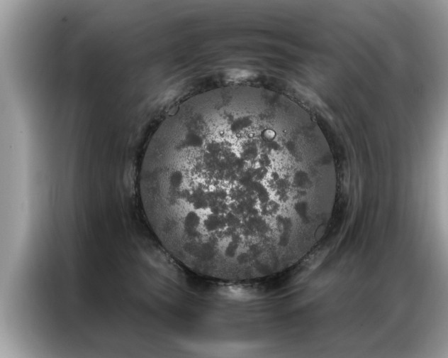 X0000087370565200704271457