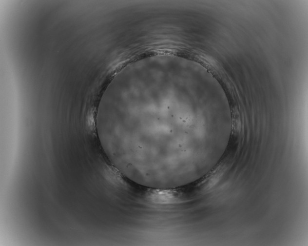 X0000087370573200704271457