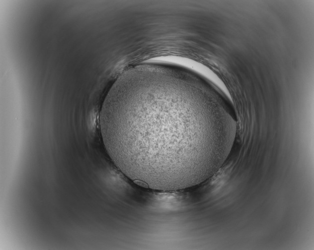 X0000087370574200704271457
