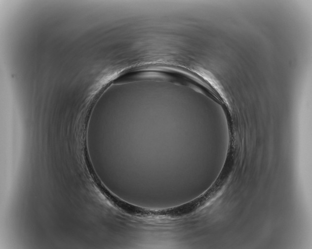 X0000087370577200704271456