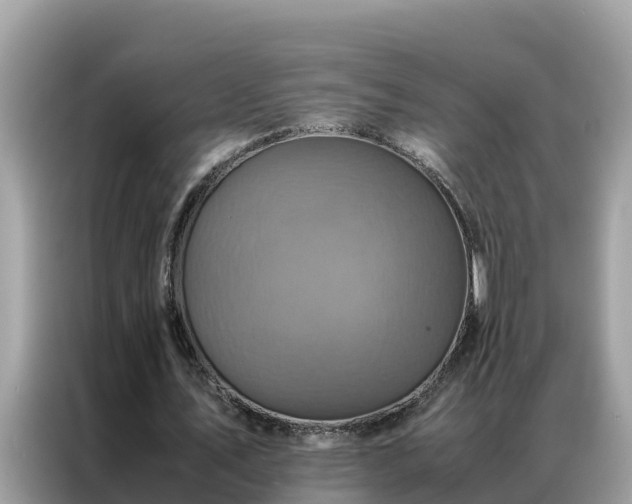 X0000087370579200704271456