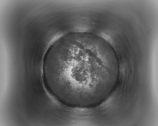 X0000087370582200704271456