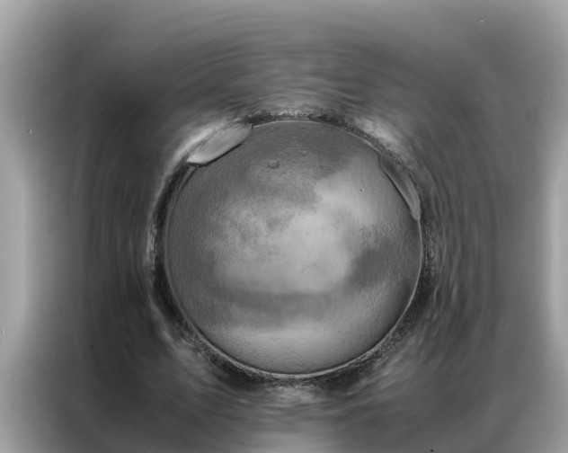 X0000087370583200704271456