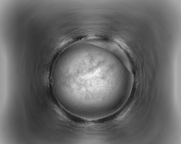 X0000087370585200704271456