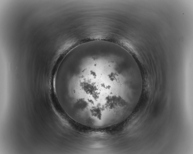 X0000087370586200704271456