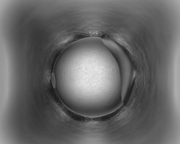 X0000087370593200704271456