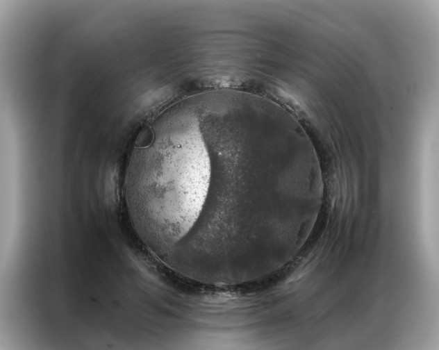 X0000087370594200704271456