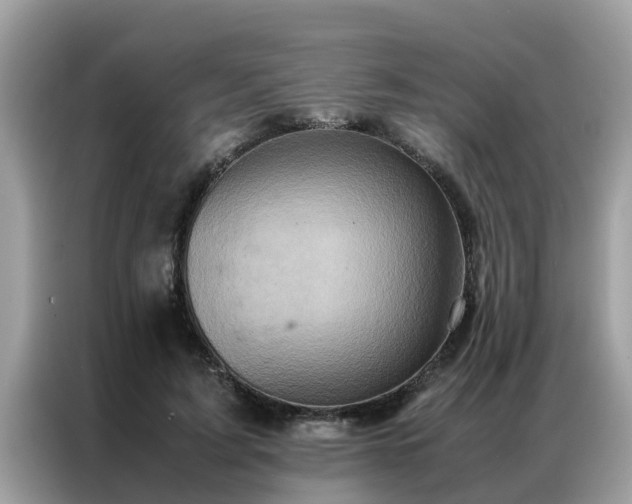 X0000087370595200704271456