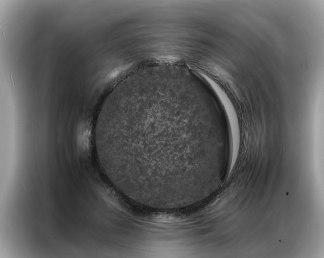 X0000087370596200704271456