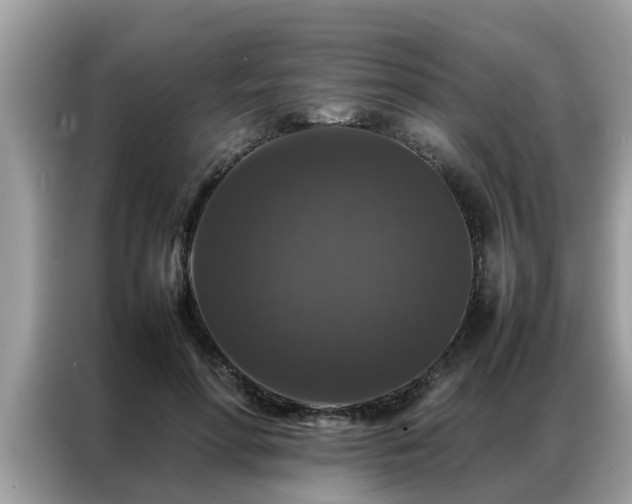 X0000087370598200704271456