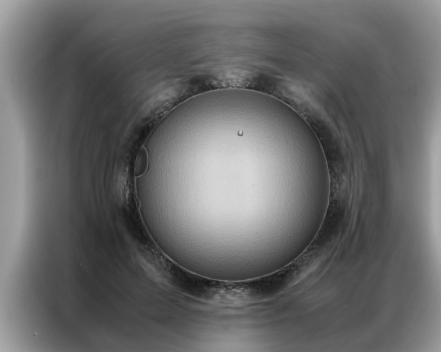 X0000087370599200704271456