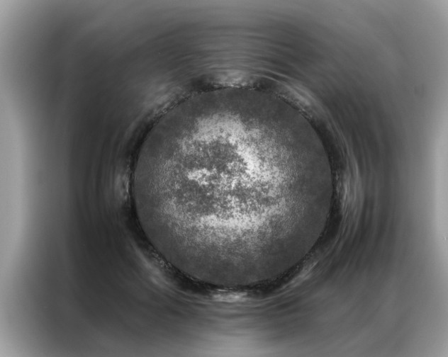 X0000087370602200704271456