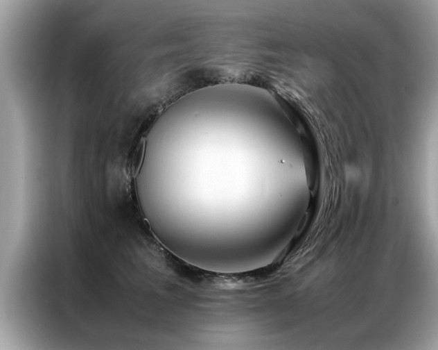 X0000087370613200704271456
