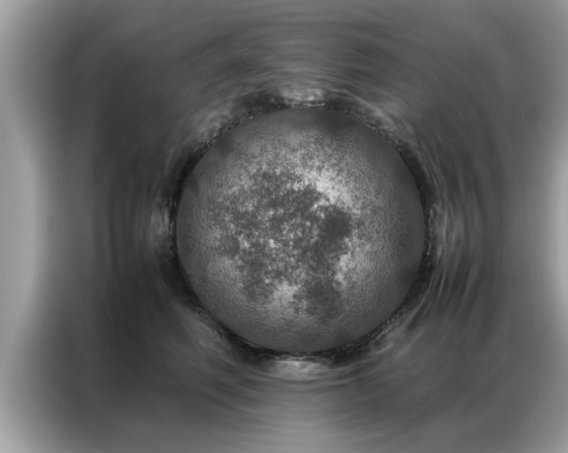 X0000087370614200704271456