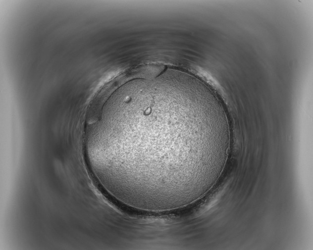 X0000087370625200704271455