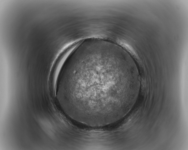 X0000087370628200704271455