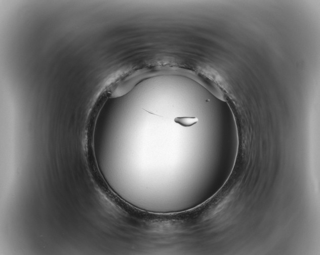X0000087370629200704271455