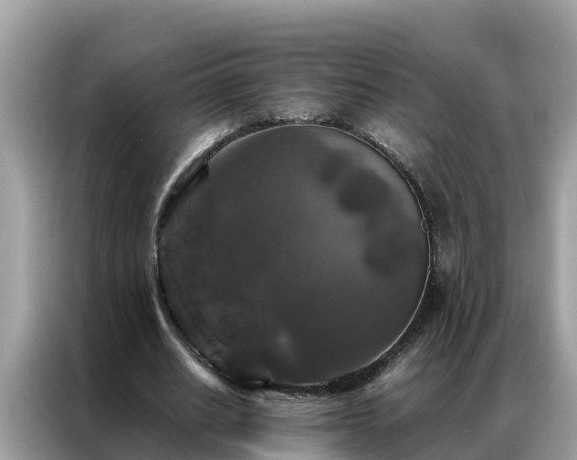 X0000087370630200704271455