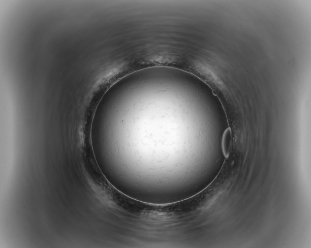 X0000087370635200704271455