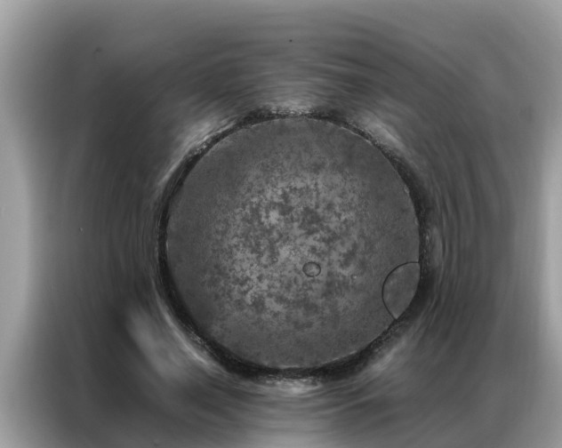 X0000087370638200704271455