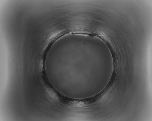 X0000087370640200704271455