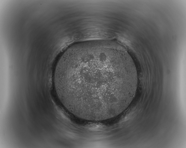 X0000087370642200704271455