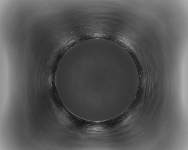 X0000087370643200704271455