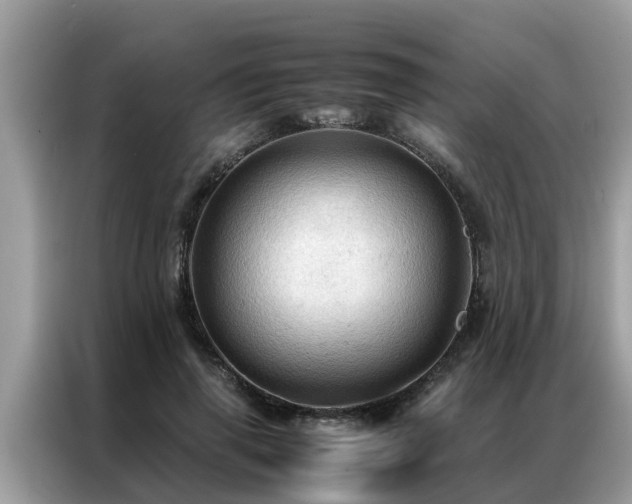 X0000087370645200704271456