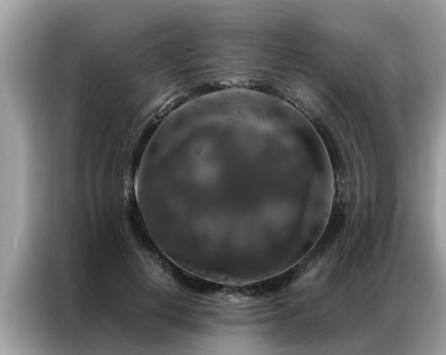 X0000087370648200704271456
