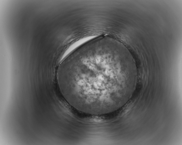X0000087370656200704271456