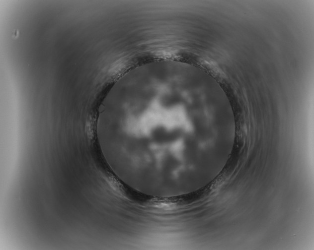 X0000087370658200704271456