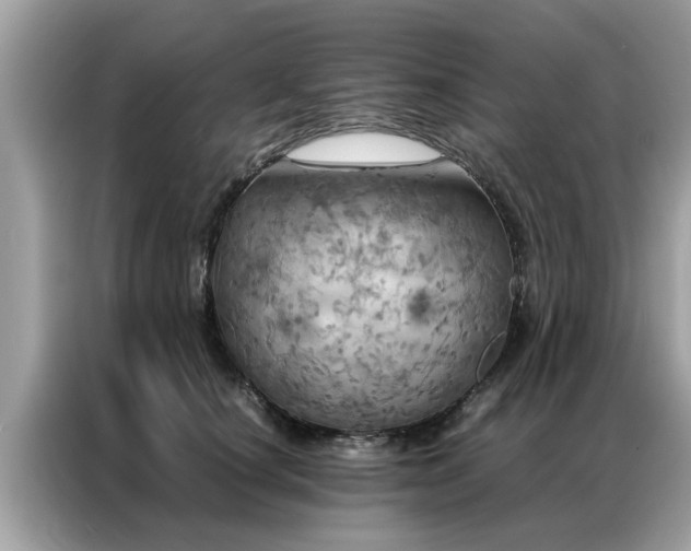 X0000087370660200704271456