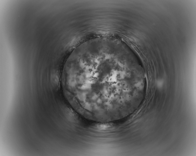 X0000087370662200704271456