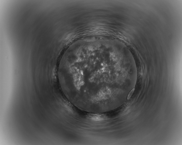 X0000087370663200704271456