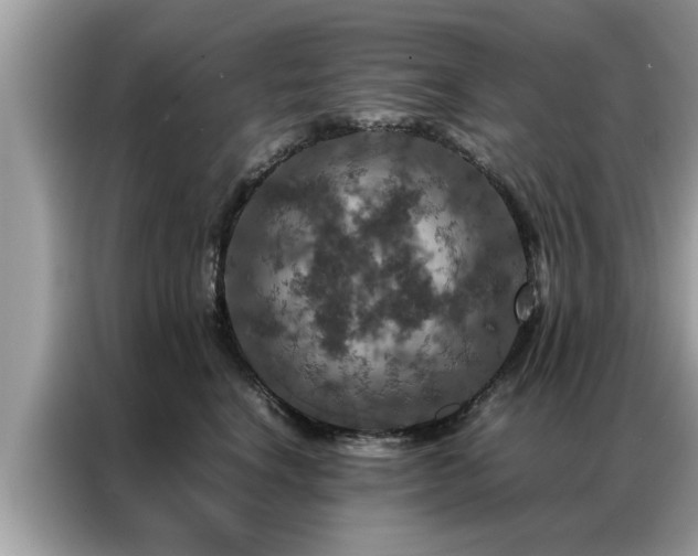 X0000087370664200704271456