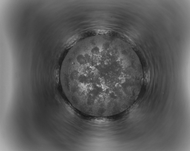 X0000087370666200704271456