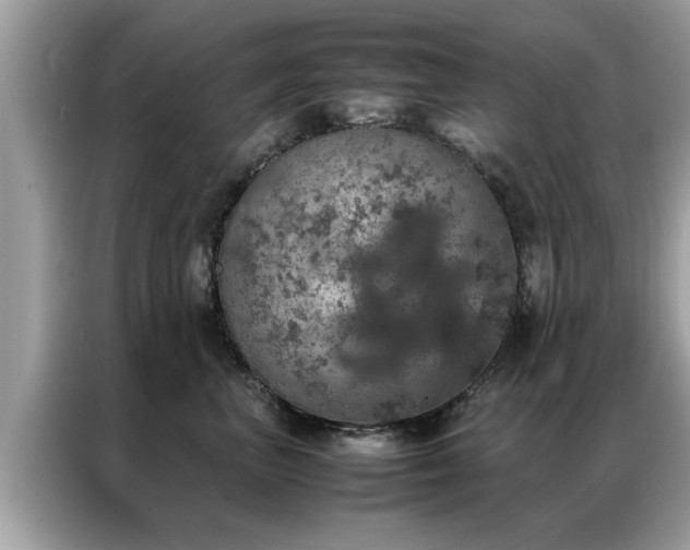 X0000087370667200704271456