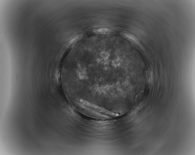 X0000087370669200704271456