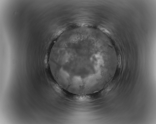 X0000087370670200704271456