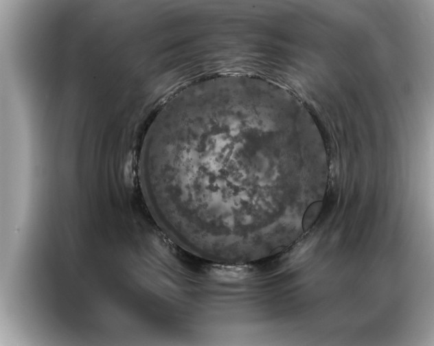 X0000087370671200704271456