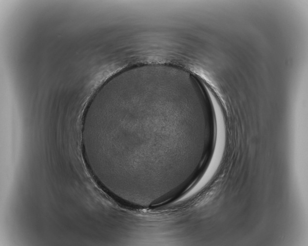 X0000087370673200704271455