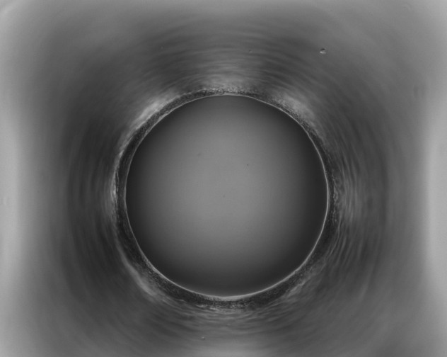 X0000087370674200704271455