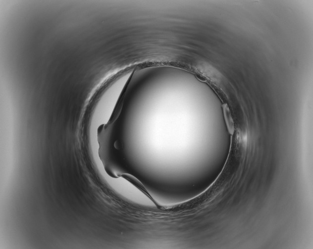 X0000087370676200704271455