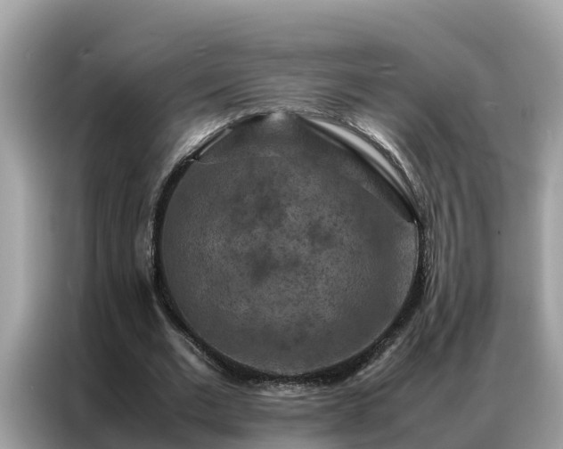 X0000087370677200704271455