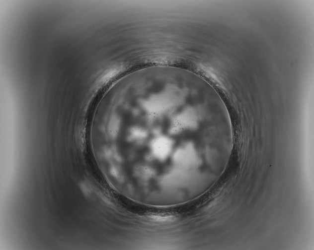 X0000087370679200704271455