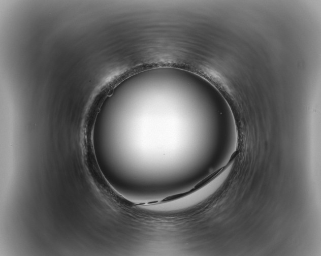 X0000087370680200704271455