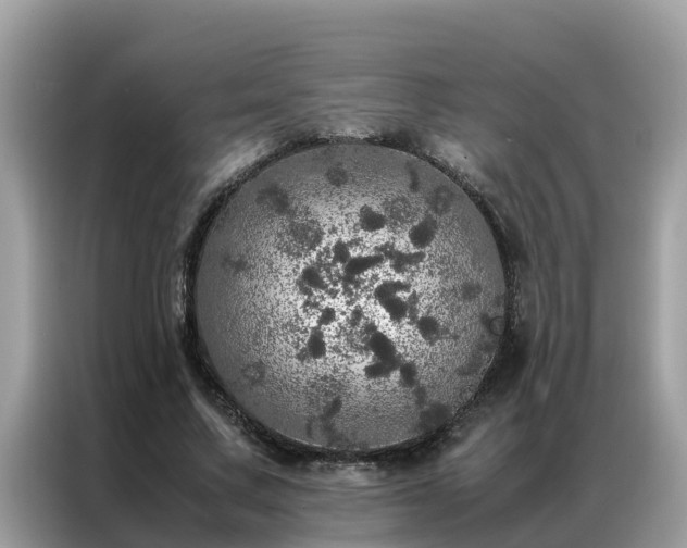 X0000087370683200704271455